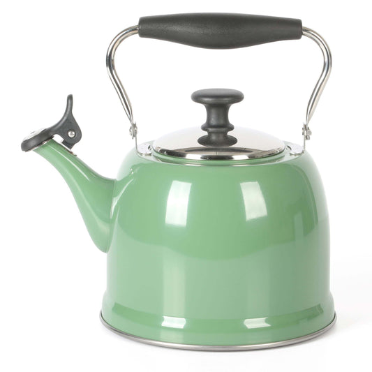 Martha Stewart Everyday Lily Pond 2.2-Quart Stainless Steel Sage Tea Kettle with Lid